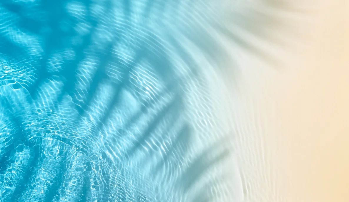 Consultancy Consultancy